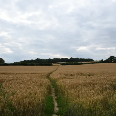 Hoathly Farm arable land