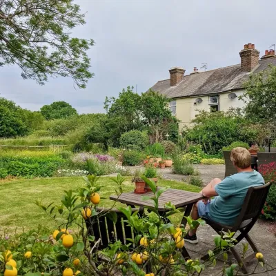 A person sat on a garden chair in a garden, with lemons in the foreground.