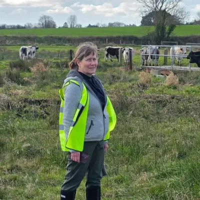 A woman in a high-vis checking on cows at Ham Fen nature reserve.