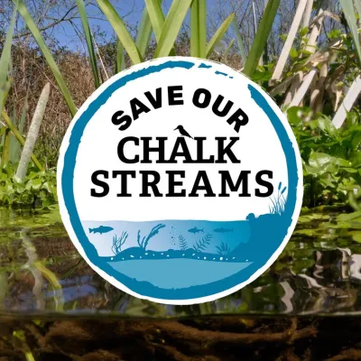 A logo that reads 'Save our chalk streams' in front of an image of a river up close.