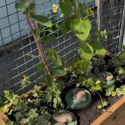 Wildlife Friendly Planter