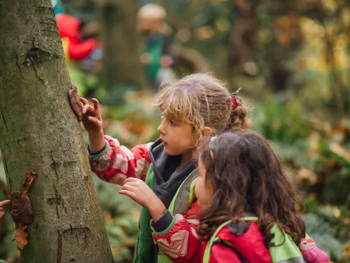 Outdoor learning with Forest School, photo by Helena Dolby for Sheffield & Rotherham Wildlife Trust