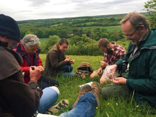 Ecology Groups Volunteers Survey