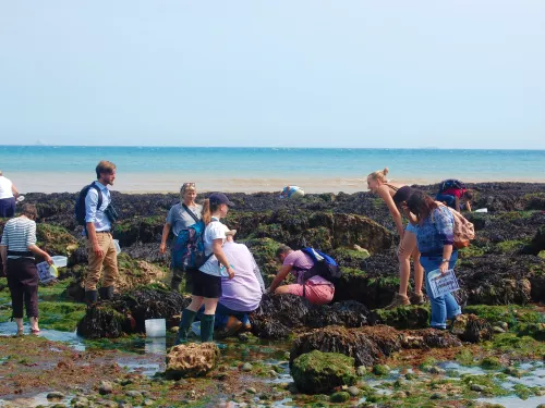 Rockpooling with Guardians of the Deep