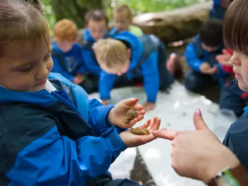 Outdoor school education, photo by Paul Harris/2020VISION