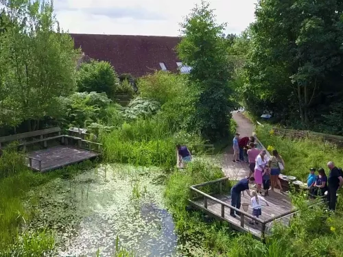 Pond dipping at Tyland Barn