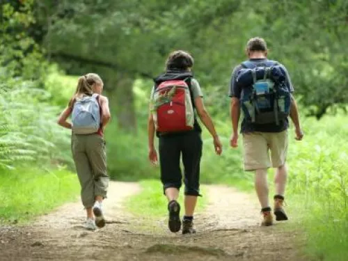 Family walking in woods