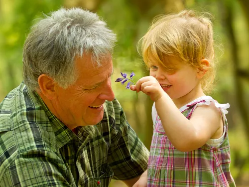 Young girl shows her granddad a bluebell, photo by Ben Hall/2020VISION