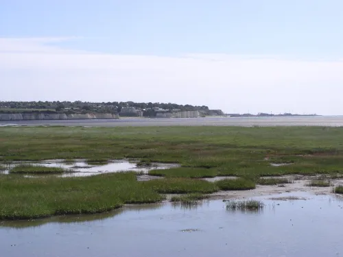 Sandwich & Pegwell Bay