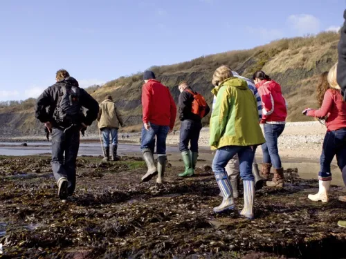 Intertidal Investigations