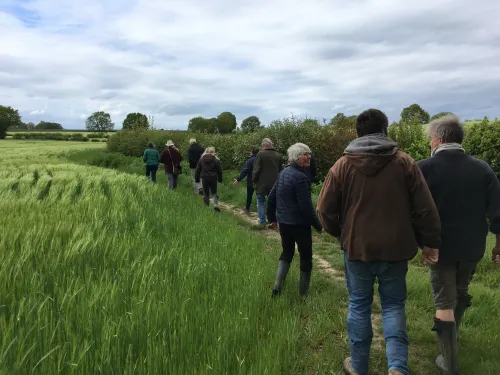 Farmers on a walk through a field.