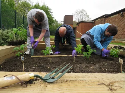 Group of people gardening