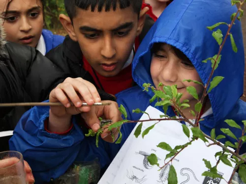 Children outdoors identifying minibeasts