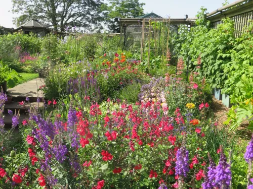 View of the garden from entrance gate with flowers