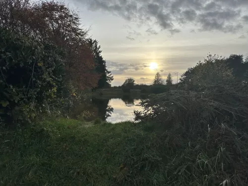 Heather Corrie Vale, pond and sunset