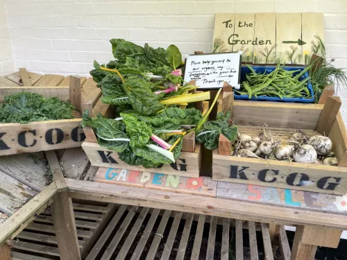 locally grown vegetables and fruit in boxes