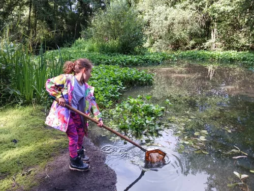 Child wearing a colourful coat dips her net into a river to find the wildlife that lives there