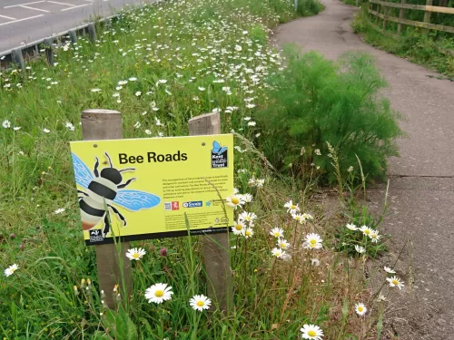 A flowery Bee Road at Swale Way, Sittingbourne by Rosie Earwaker