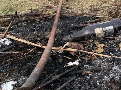 blubell hill fire and litter