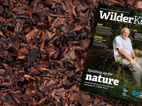 Membership banner with magazine featuring David Attenborough on the cover