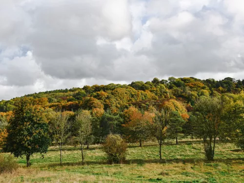 Heather Corrie Vale by Tim Horton