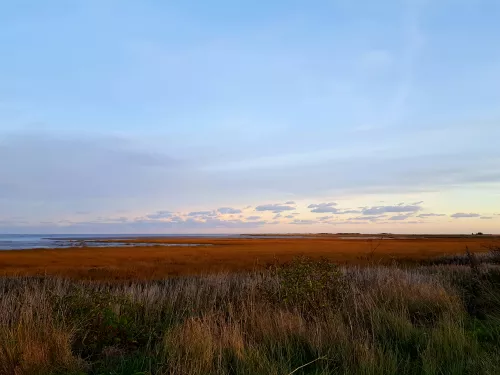 Sandwich and Pegwell Bay - Vicky Aitkenhead