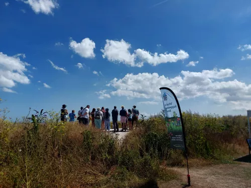 Pegwell Bay Wildlife Walk