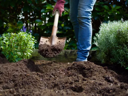 Knee down shot of a person digging with a spade into the soil