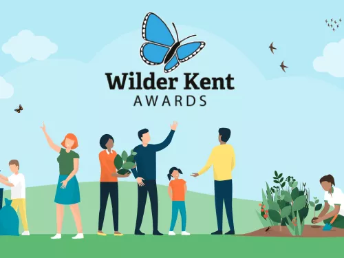 Wilder Kent Awards illustration