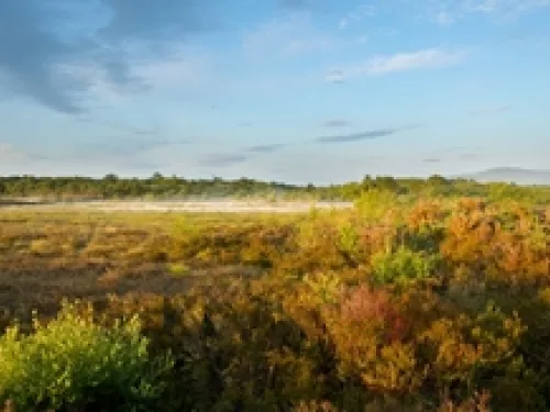 Ballynahone bog