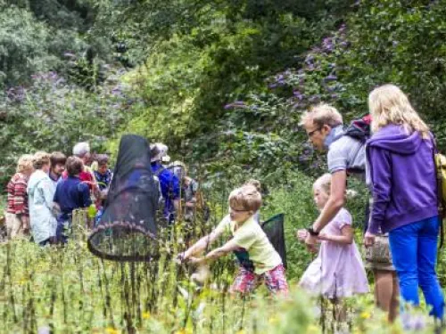 festival of wildlife - thomas alexander