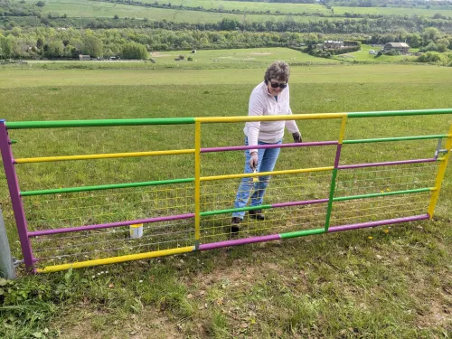 Gate painting