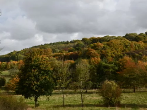 Abandoned golf course Darenth valley - GrowUp Farms