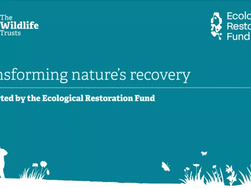 transforming nature recovery report cover