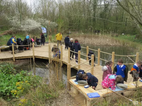 pond-dipping at Tyland Barn