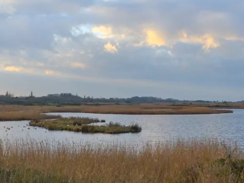 Oare marshes 