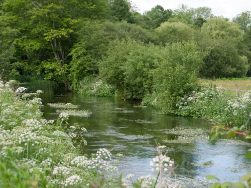 Chalk stream river