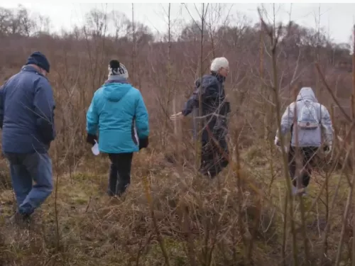 Wilder Wellbeing Walk