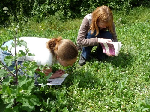 wildlife study days