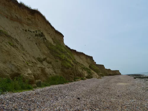 Shingle beach at Reculver