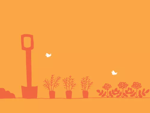 veg garden illustration