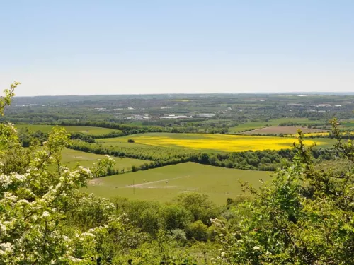 A view across Blue Bell Hill, with trees framing either side.