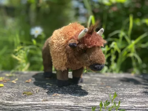 Adopt a bison plush toy