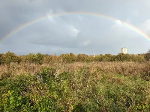 A rainbow in a grey sky over a field.