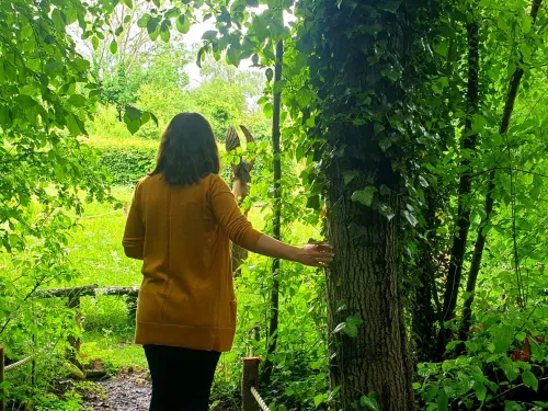 Someone walking away through green leaves of trees, touching a tree trunk