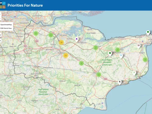 Local nature recovery strategies map