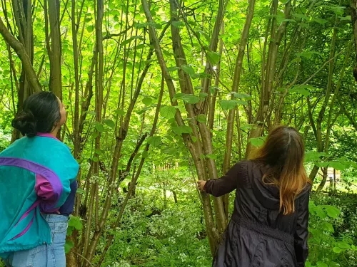 Two people stood among trees, looking to the canopy