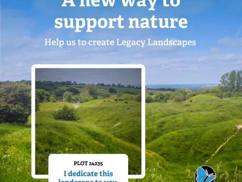 Legacy Landscapes Promo Image