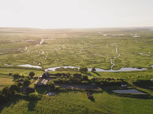 elmley national nature reserve