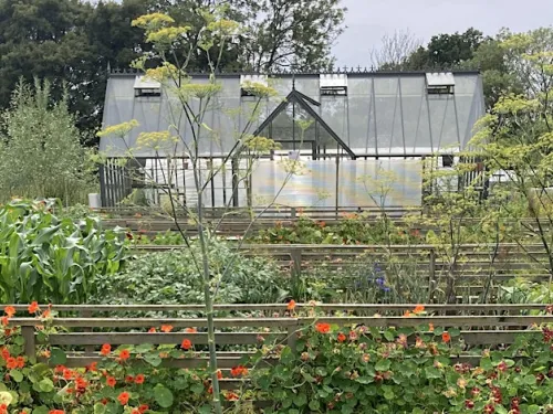 A vegetable garden with a greenhouse